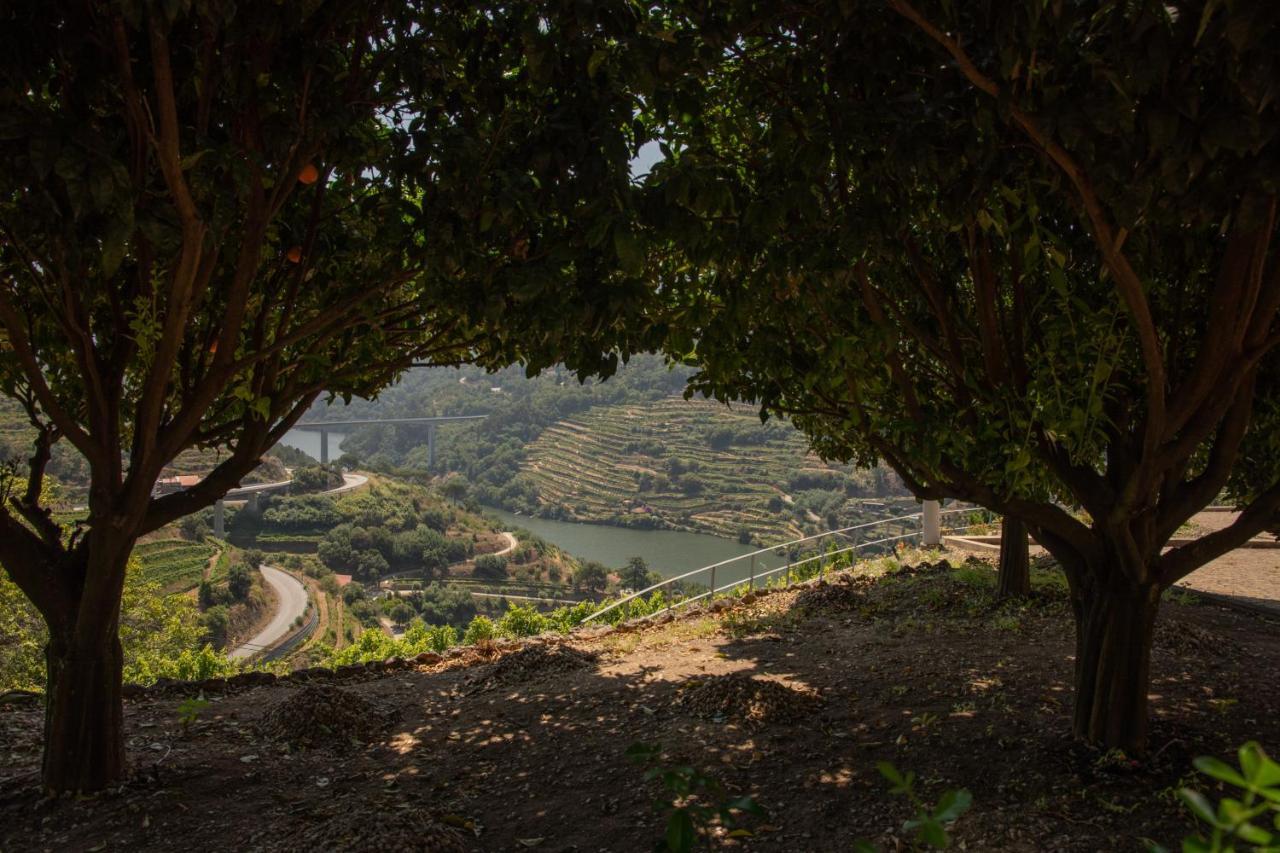 Quinta Da Granja Apartment Baiao Luaran gambar