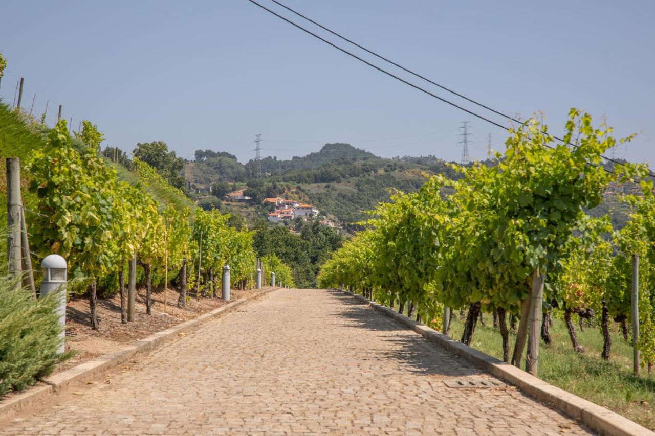 Quinta Da Granja Apartment Baiao Luaran gambar